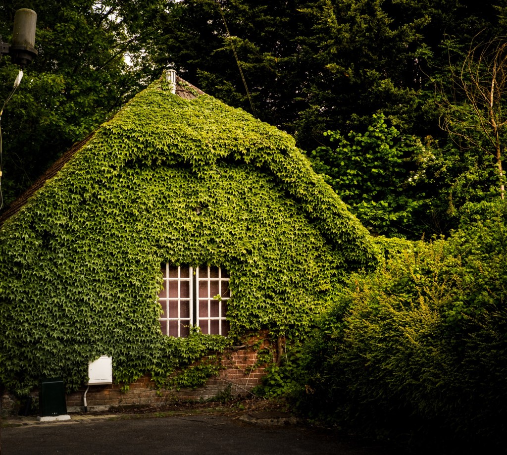 A Very English&nbsp;Walk.